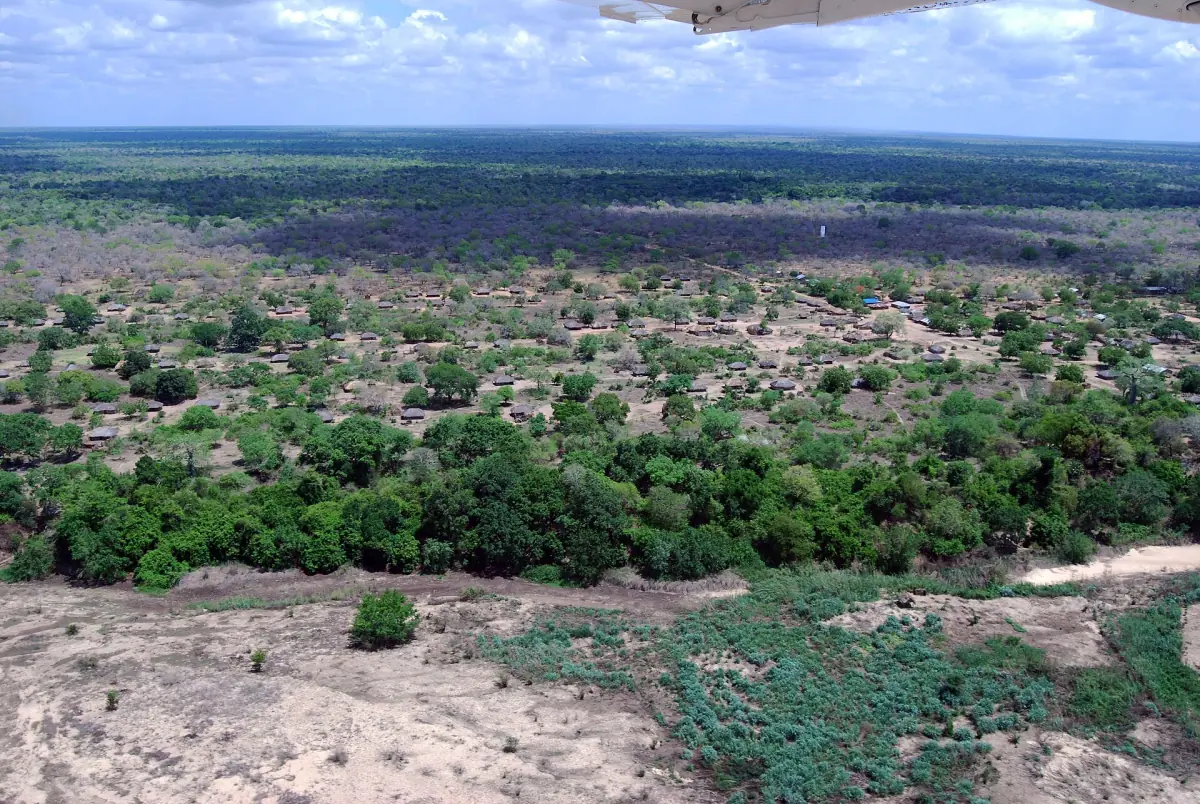 Aerial view of woodland and sandy ground in southern Tanzania