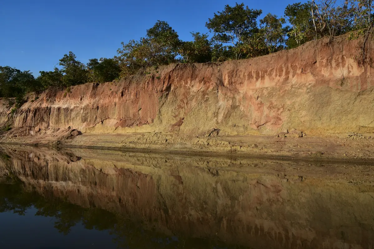 Red earth cliff above the Rufiji River with trees on top
