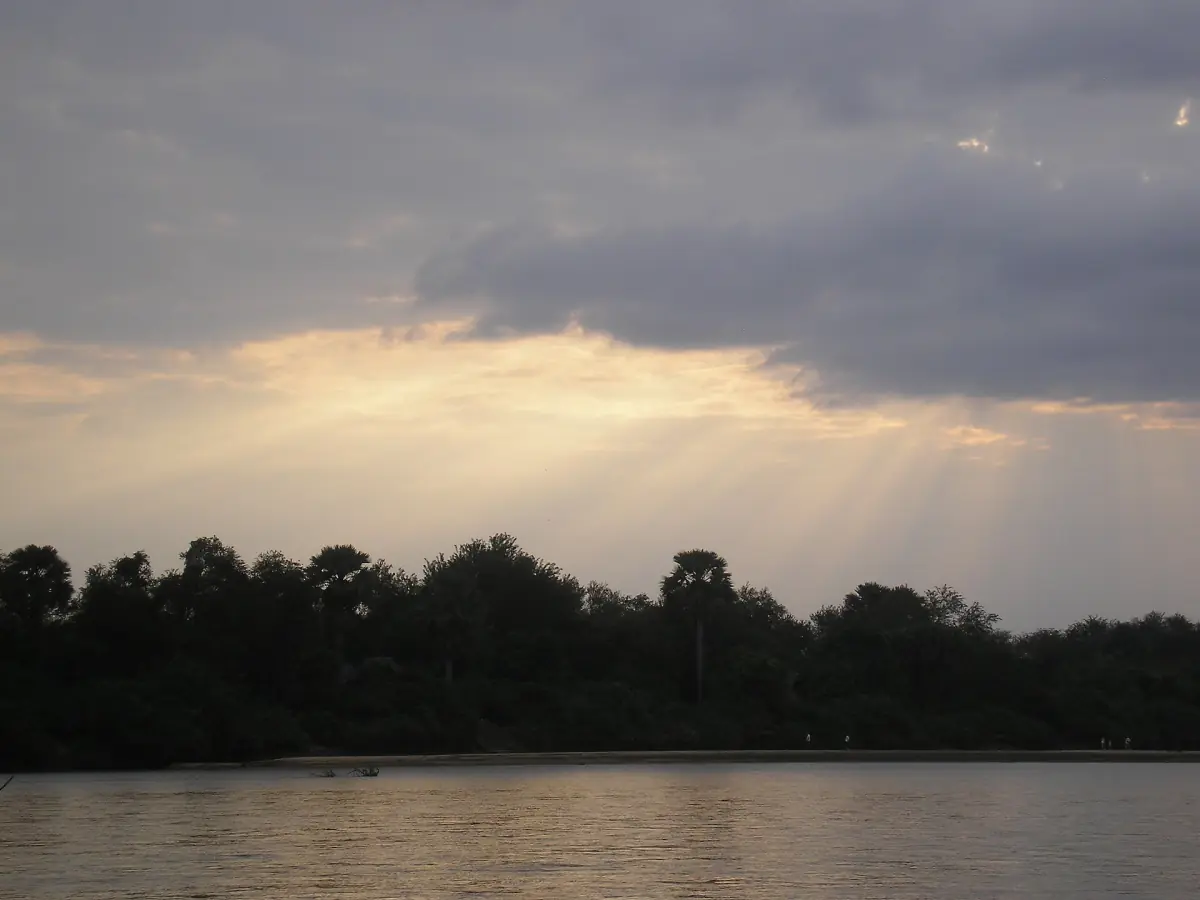 Regenwolken mit durchbrechendem Licht über dunkler Baumreihe